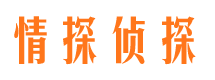 天桥侦探公司